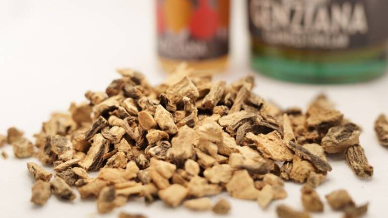 Liquore alle erbe: un amaro dal gusto intenso